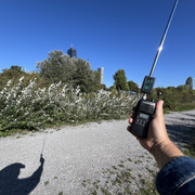 IMG-3184