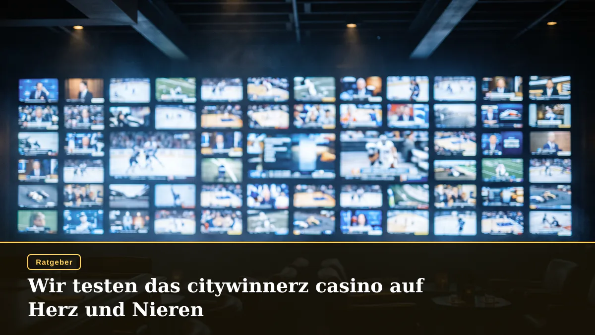 Wir testen das citywinnerz casino auf Herz und Nieren