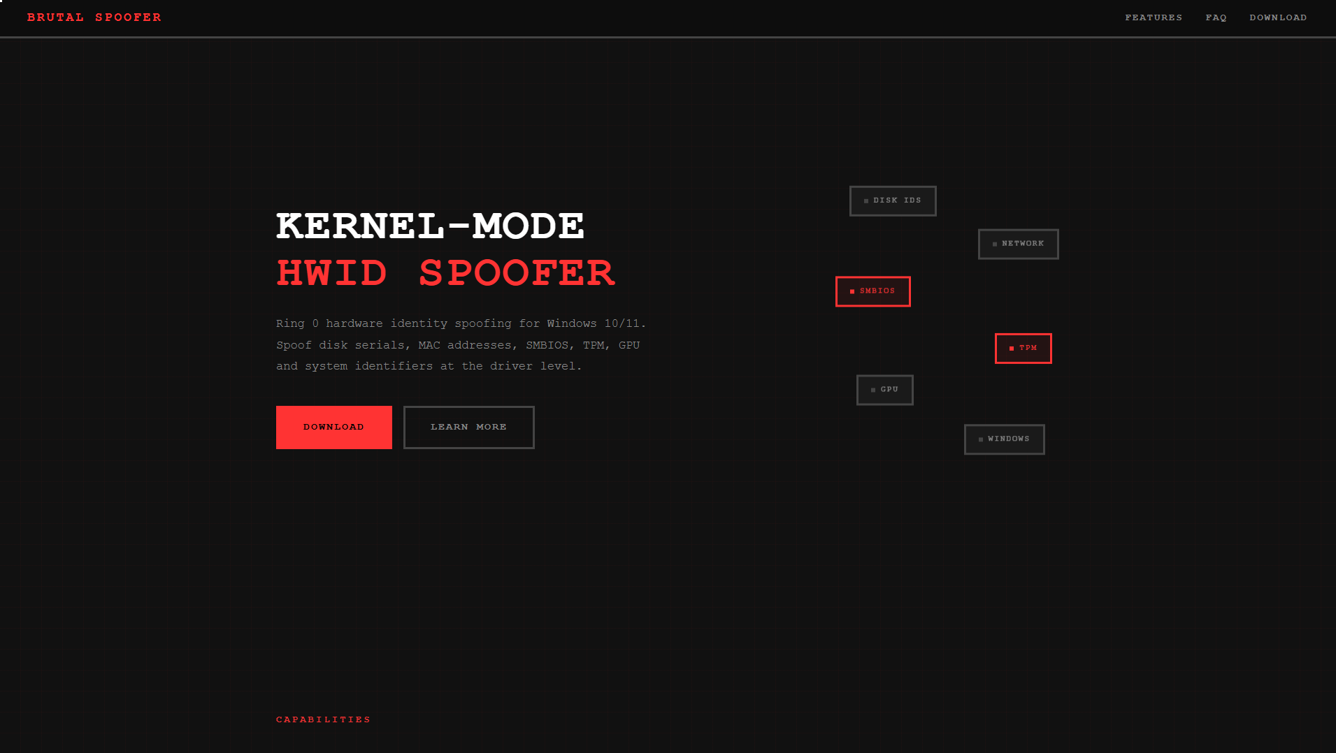 Stored capture of brutal-spoofer.pro