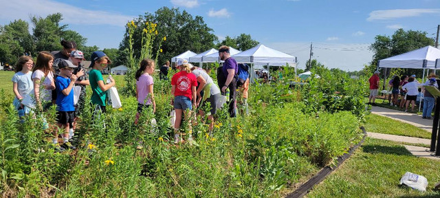 Pollinator-Prairie-2024-1