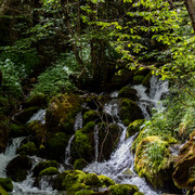 IMG-0094