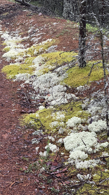 IMG 5260.jpg