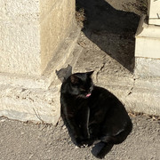 IMG-6168