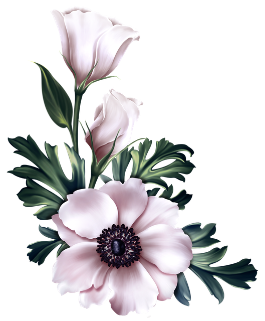 066 114.png