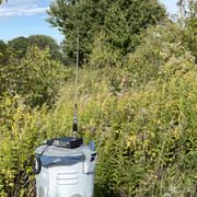 IMG-3337