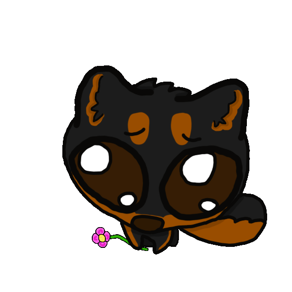 IMG 0224.gif