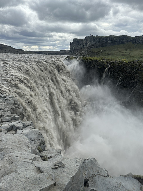 IMG-6778