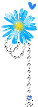 IMG 1115.gif
