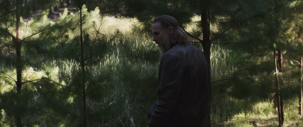 The Stranger Screenshot