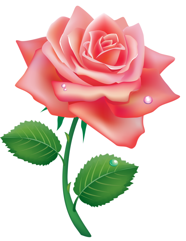 b1761007f883120294b02a7a702e6ec3.png