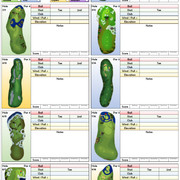Three Pointers Club Tournament Notes Sheet Single