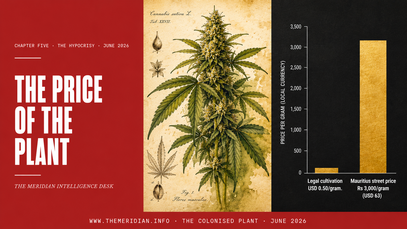 The Price of the Plant Cannabis Prohibition Premium Mauritius The Meridian