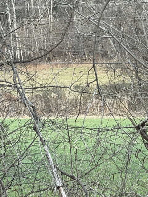 IMG-8569