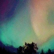ab2.gif