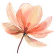 1f44ee7f77a91cd971d95edcc7f4b6f6
