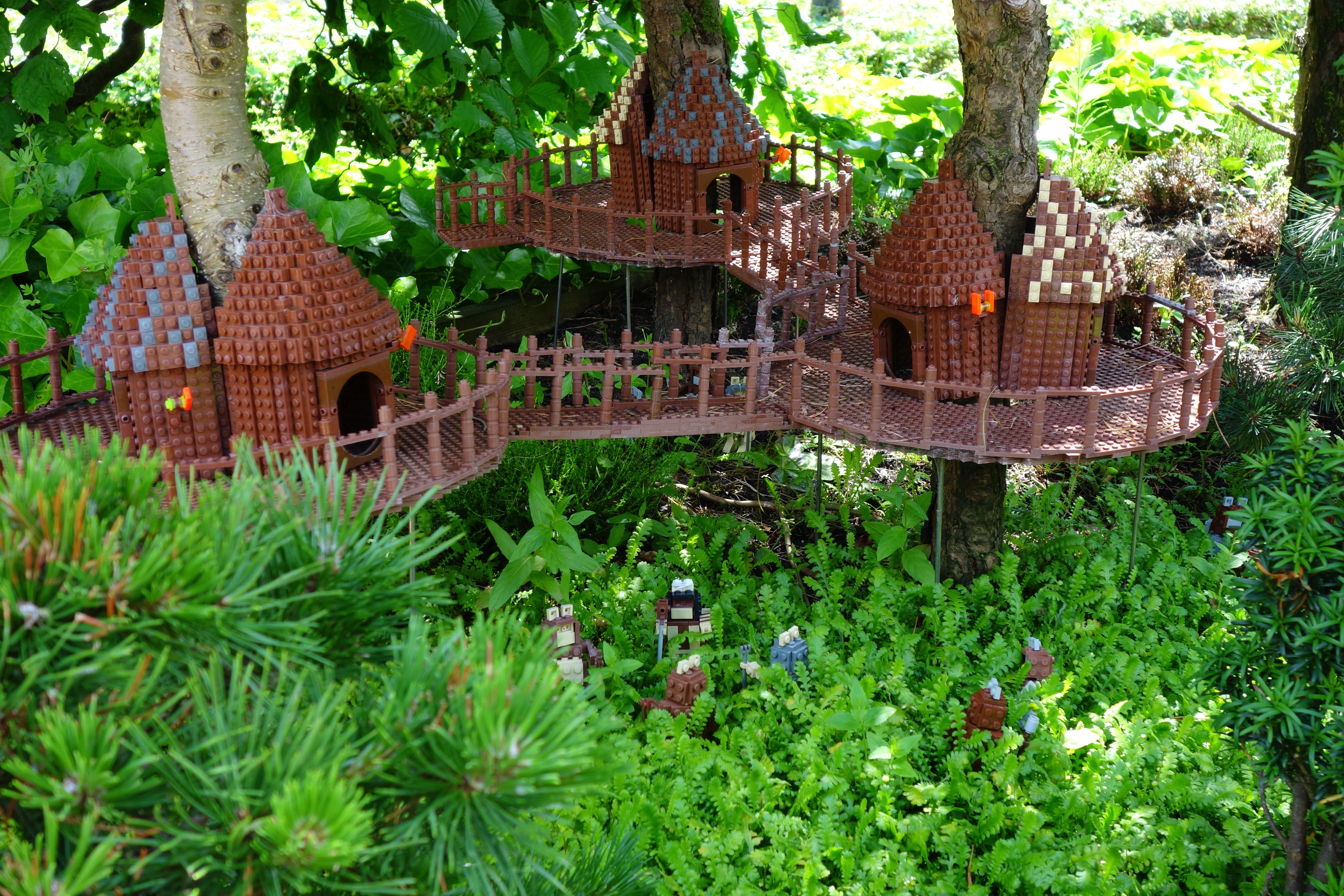 DSC00212