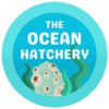 A small turquoise button with 'The Ocean Hatchery' in a smooth white font, depicting an Unhatched Water Egg nestled within a few strands of seaweed.