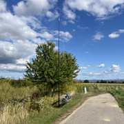 IMG-2547