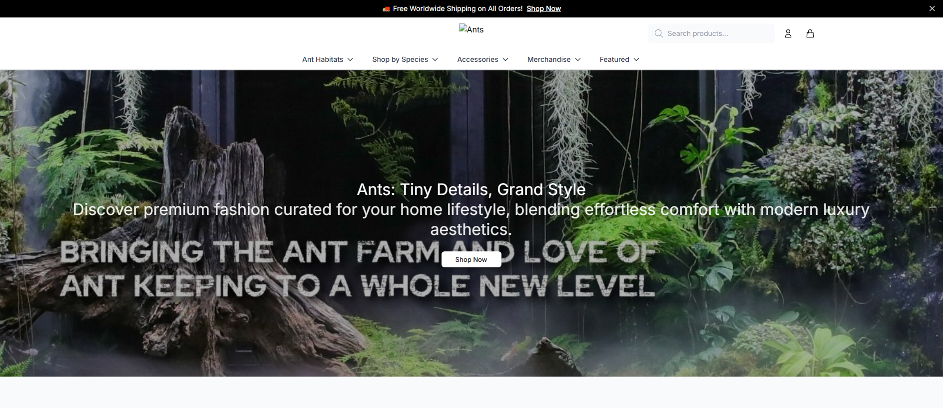 Stored capture of antsmint.shop