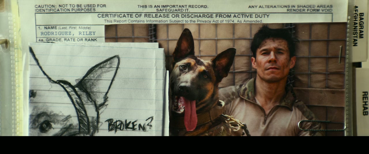 Dog Screenshot