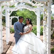 IMG 2731