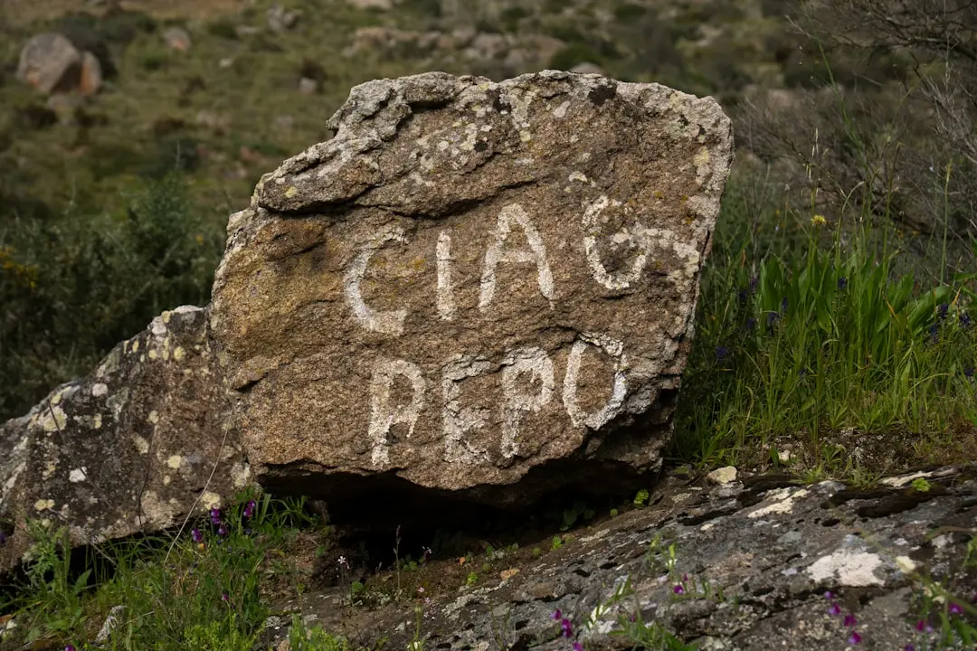 Cea mai scumpă greșeală de la bucătărie: să treci peste cerințele cruciale de spațiu