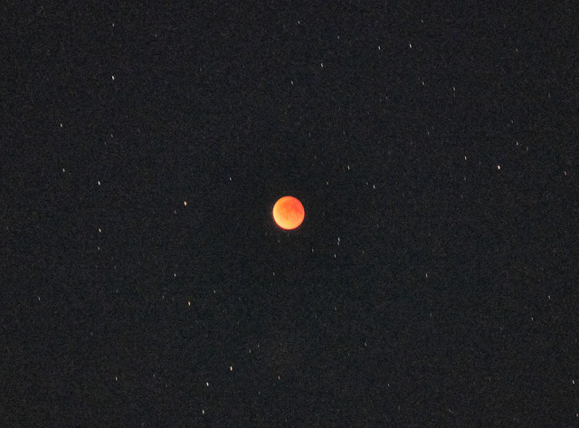DSCF4730.jpg