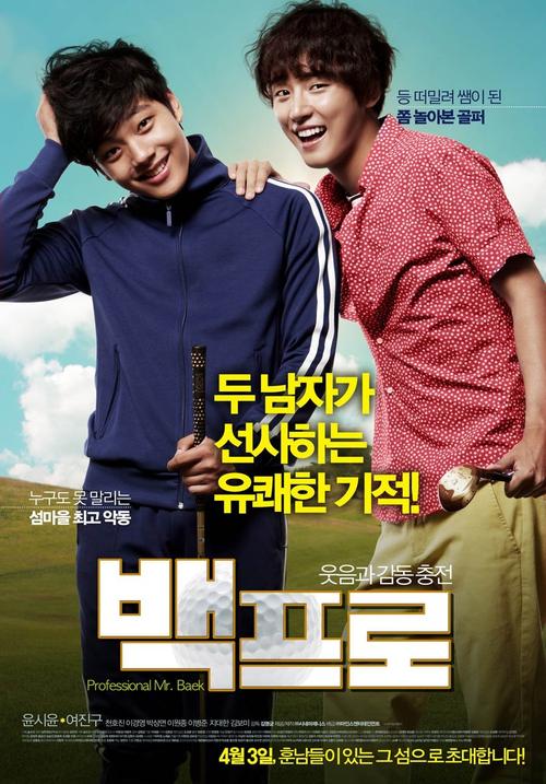 Mr. Perfect [K-Movie] (2014)