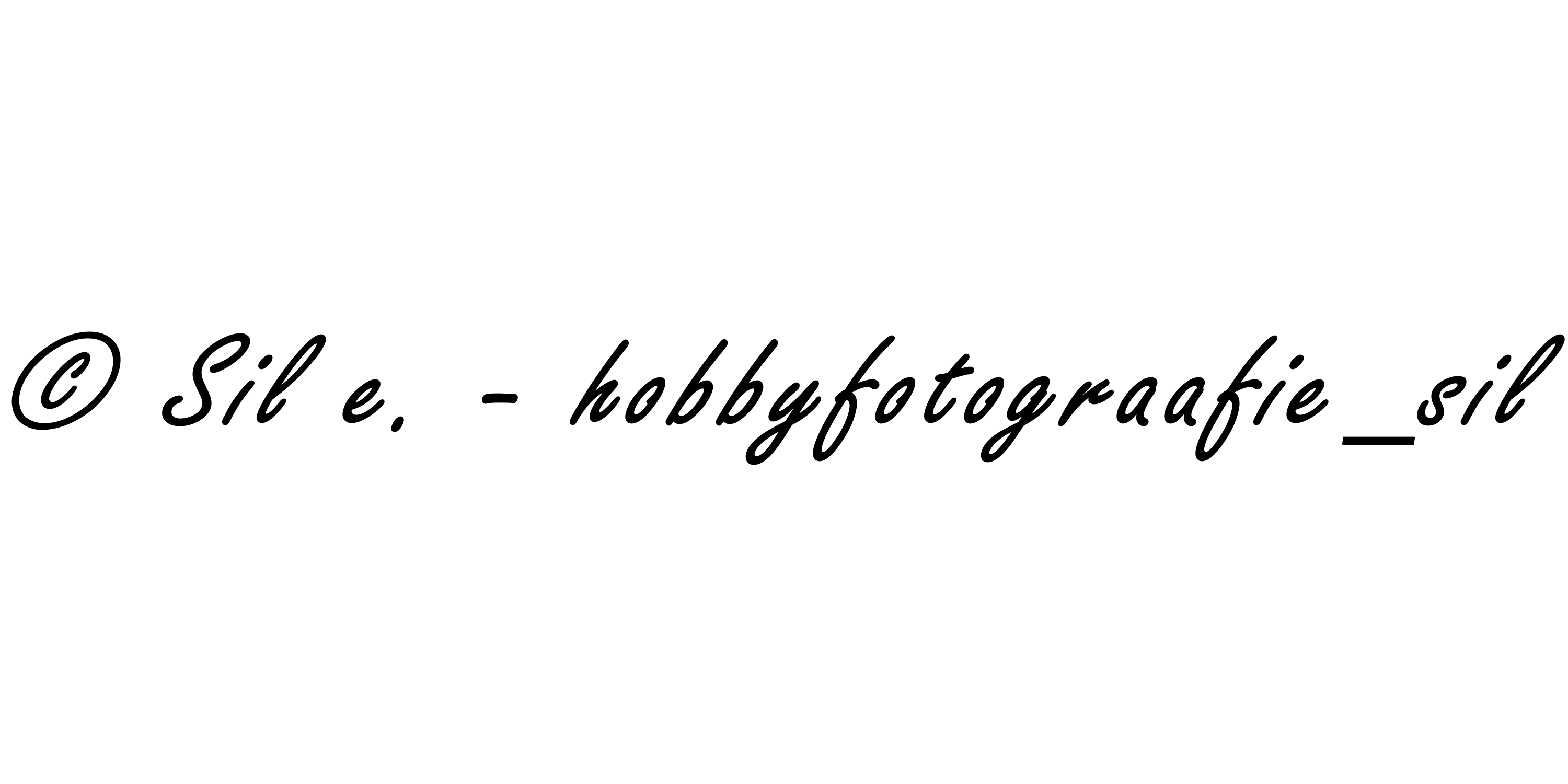 Signature.png