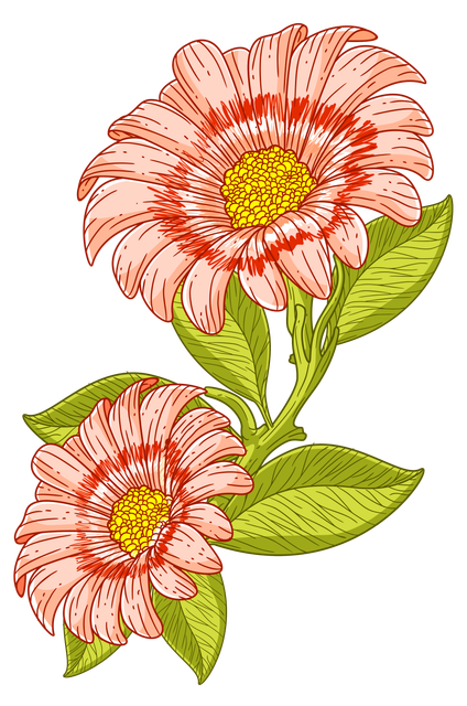 d8f57ed518ab310e85d97ee6584faa92.png