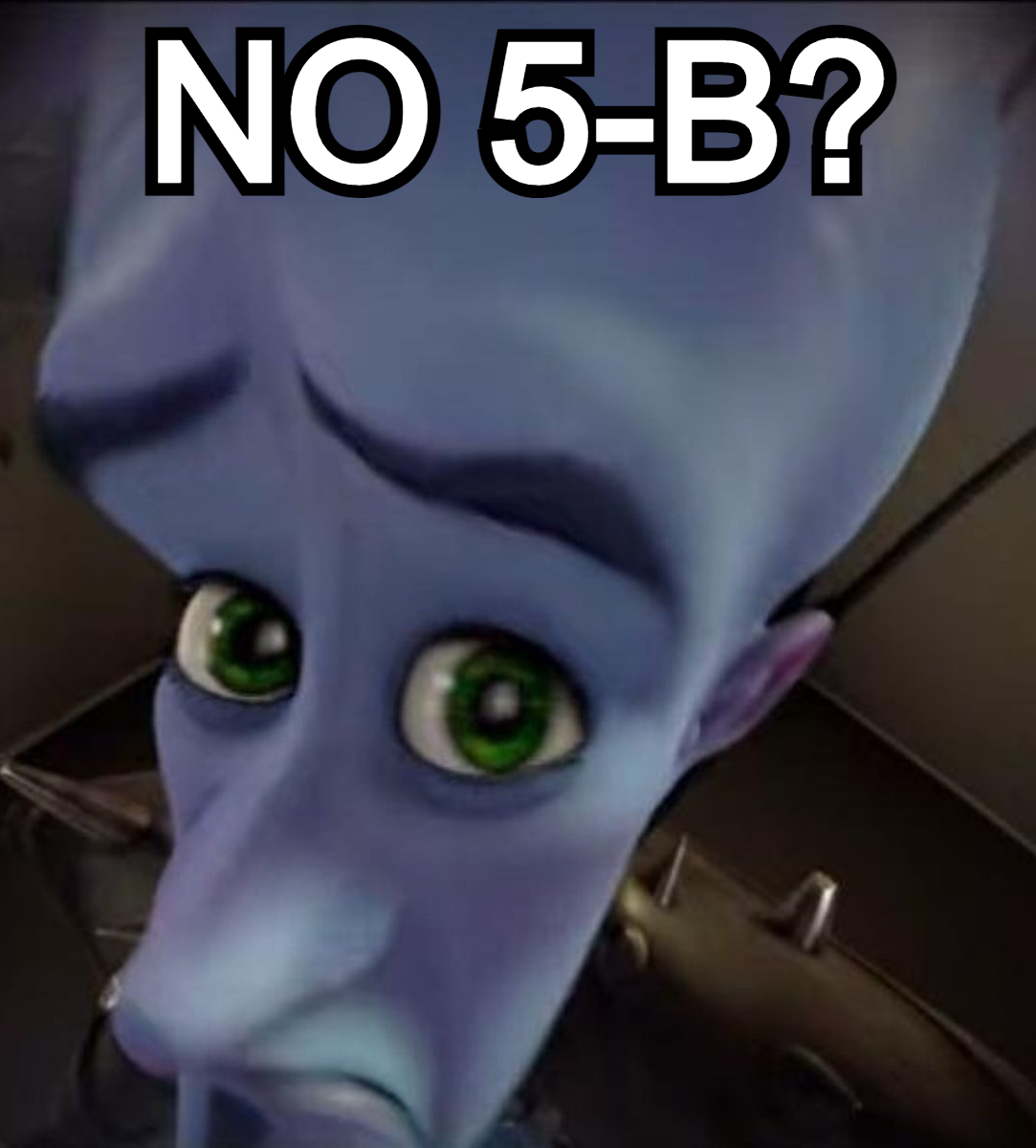 5BOROS.png