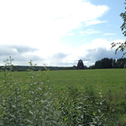 IMG-4009