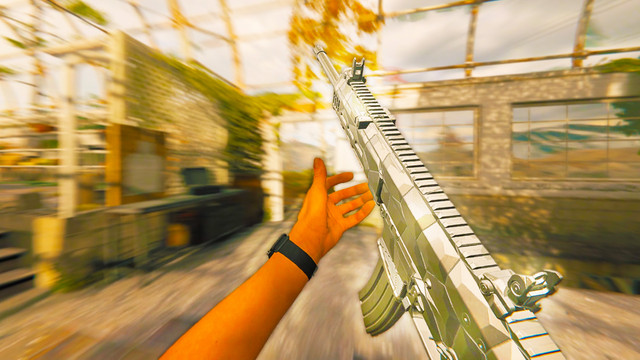mw3ftu2