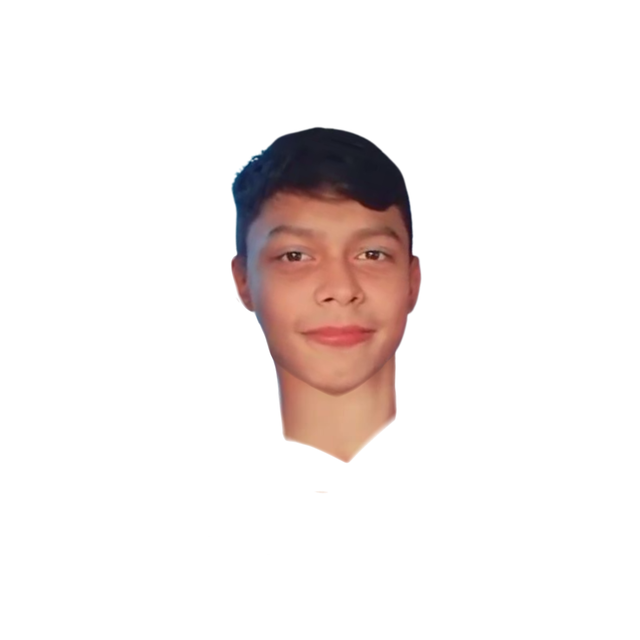 Elison(teste)