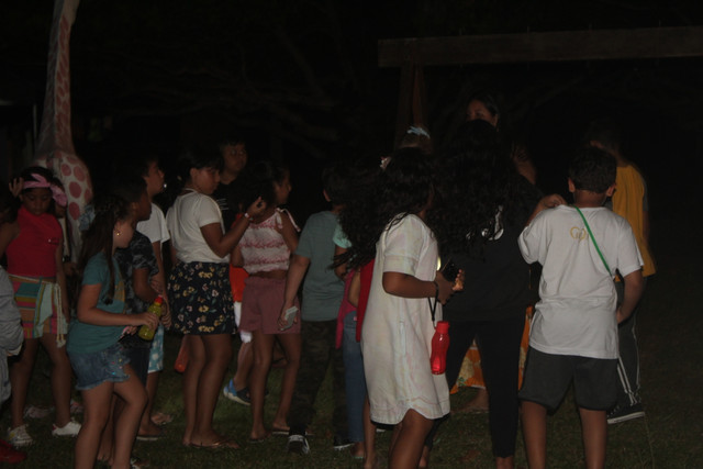 IMG-0967