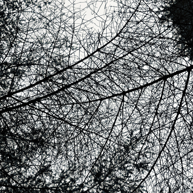 IMGP1477-D.jpg