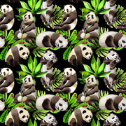 20-Panda