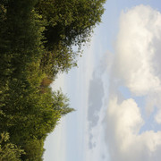 DSC5331-result