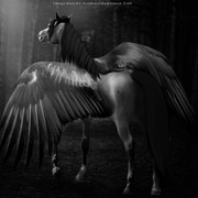Webp-net-compress-image-53