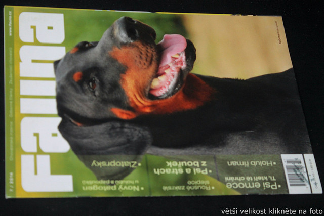 IMG-7727