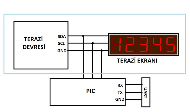 ledgostergesema