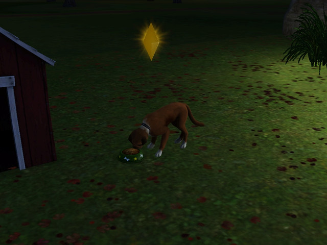 Screenshot-54