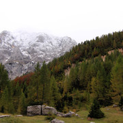 IMG-0234