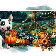 Sharon Midnight Pumpkin Patch2