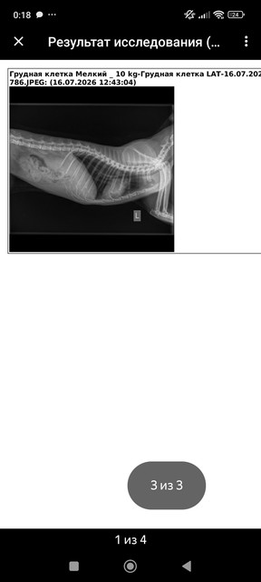 1000103305
