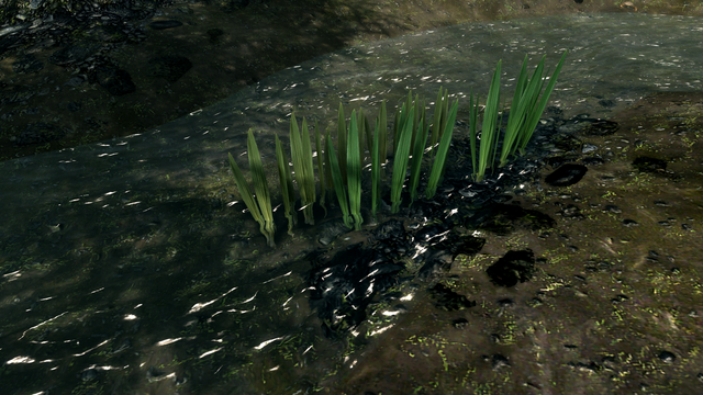 Screen Shot2.png
