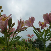 P1330406