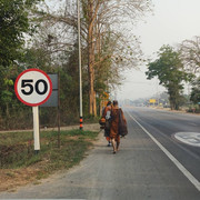 30