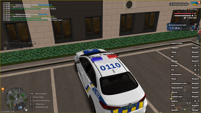пат1 2.png