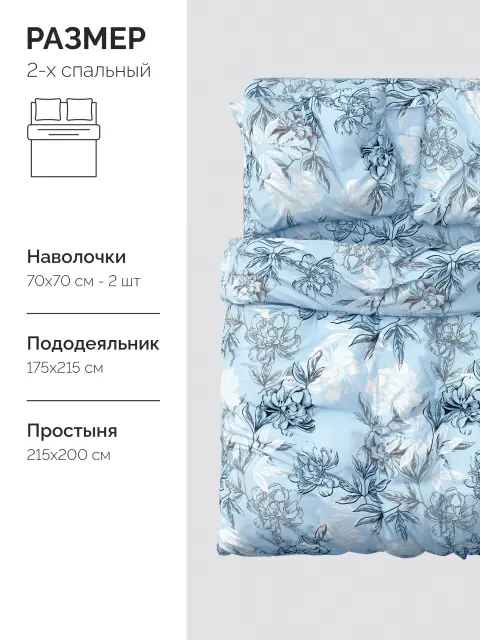 5б